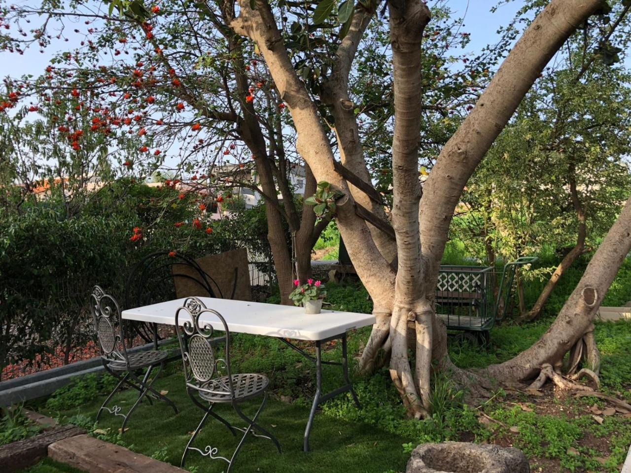 Hilltop Haven Poriyya 外观 照片